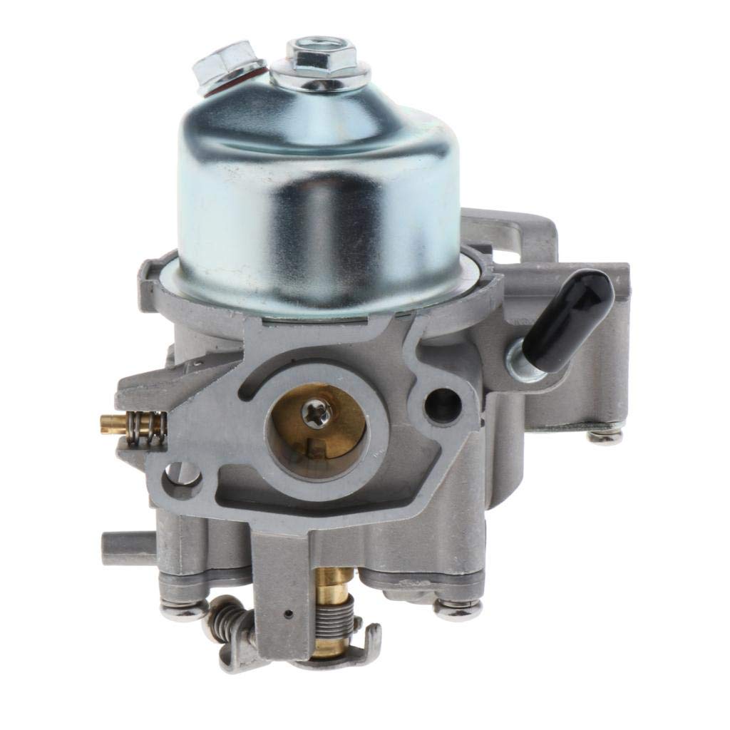 Amazon.co.jp: Homyl 船外機エン16100-ZW6-716キャブレターassyホンダ